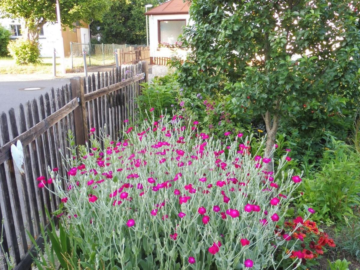 Apartment With Terrace And Pool In The Garden Pracht Eksteriør bilde